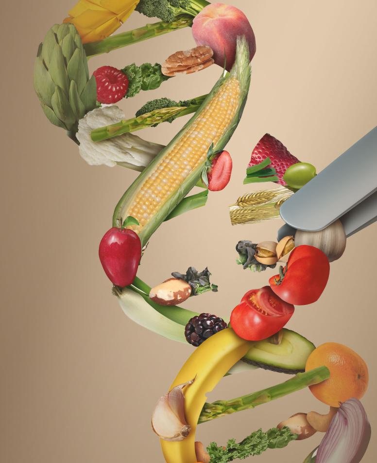 DNA nutritest 2