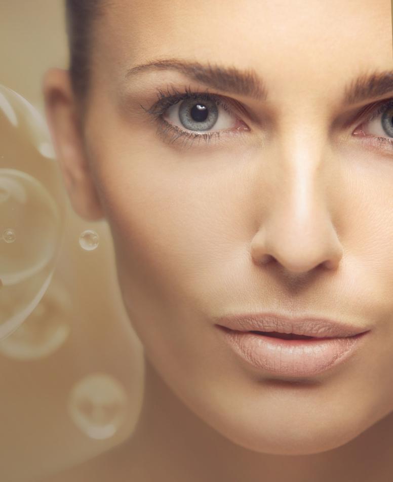 liporegenesis header