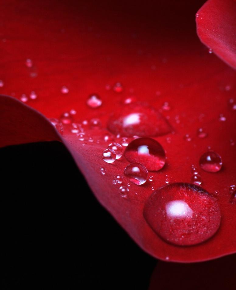 magellan oshot header