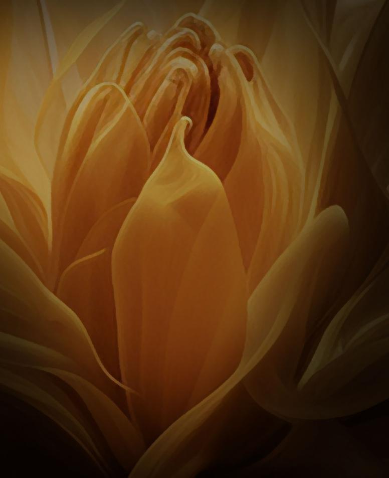 plastiki perineou2500x1400 1