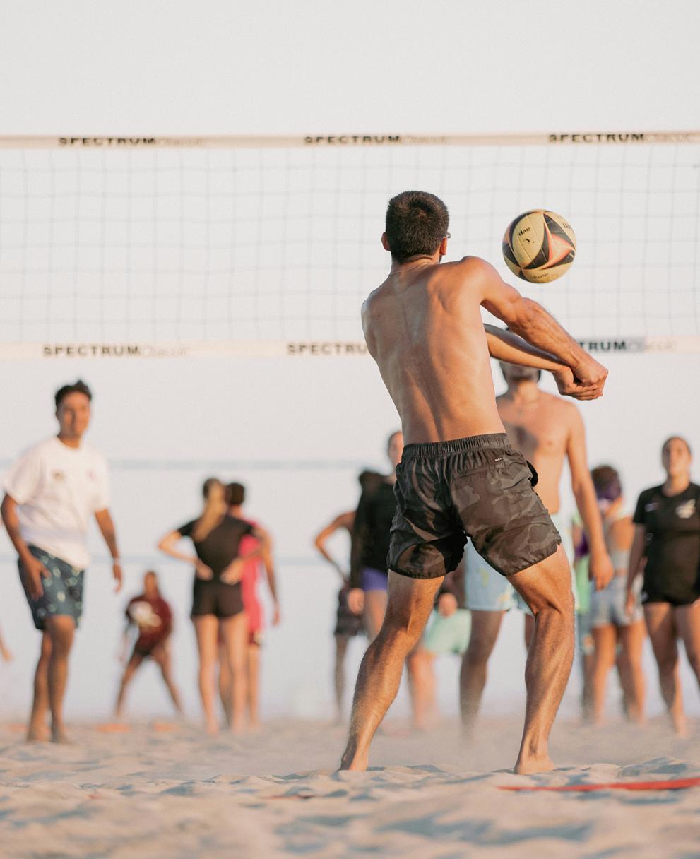 volleyball